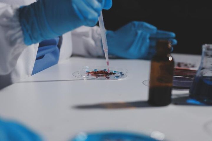 Understanding Antibody Testing Technologies and Their Role in Clinical and Laboratory Investigations