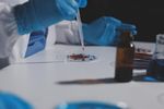 Understanding Antibody Testing Technologies and Their Role in Clinical and Laboratory Investigations
