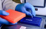 TNF Alpha ELISA Kit Details: Essential Information for Inflammatory Disease and Immune Response Studies